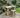 Garden potting table, multi purpose workbench (150cm + chair)
